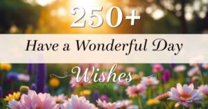 250+Have a Wonderful Day Wishes